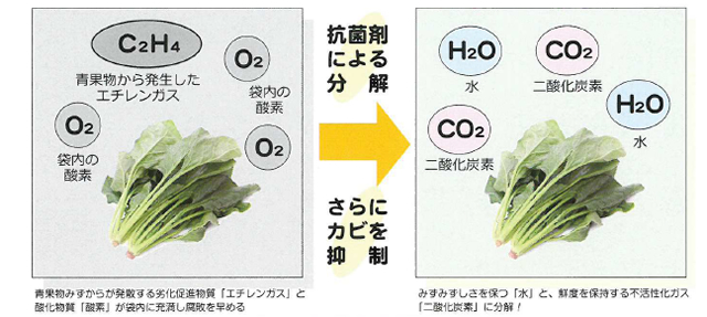 鮮度保持のメカニズム